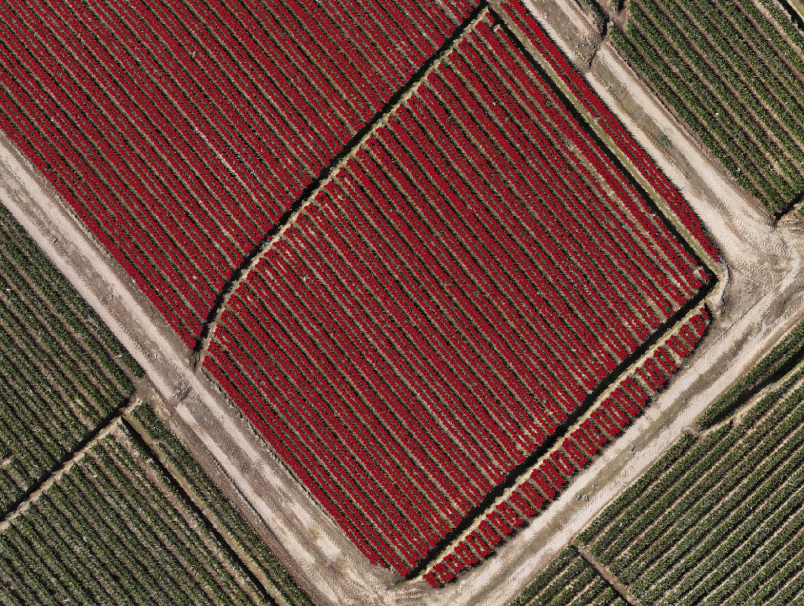 Fotogrametría VANT y Topografía