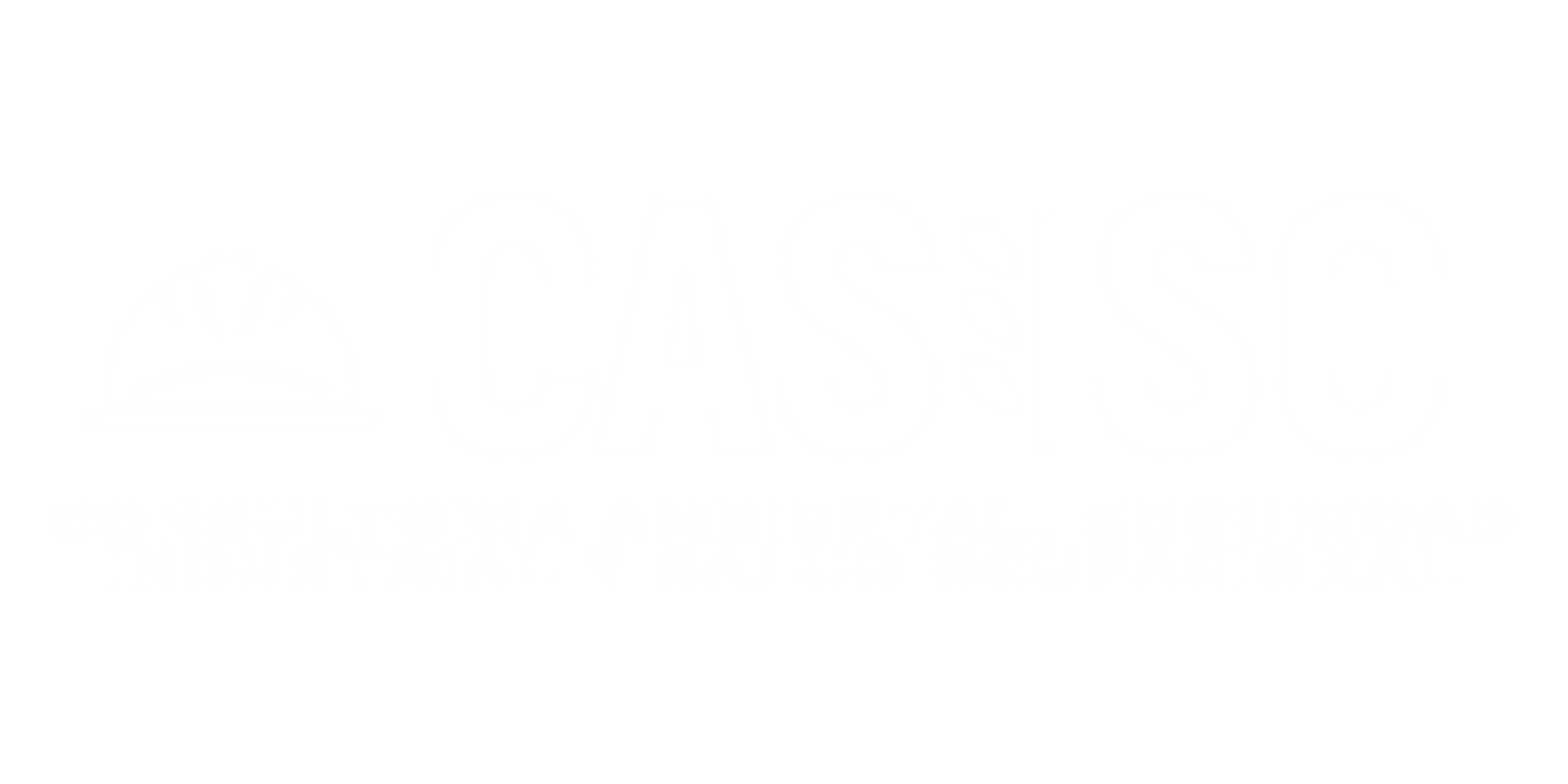 CASISO Consultoría